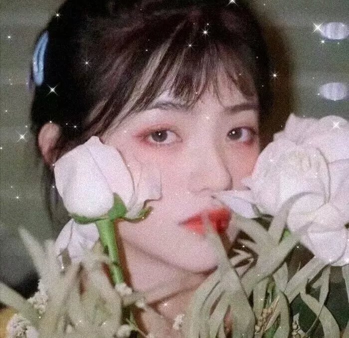 绿箭侠第六季